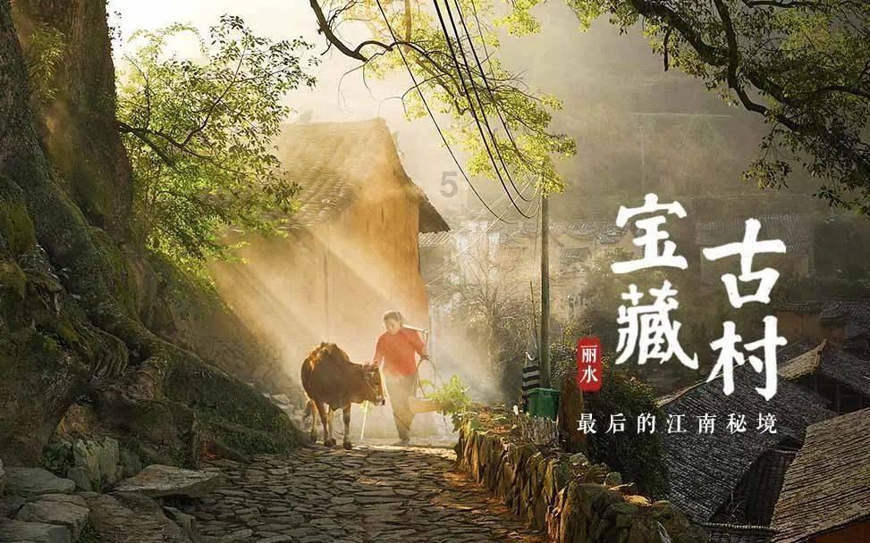 孙策去世后,孙权是如何安排嫂子大乔的?做法让人唏嘘不已